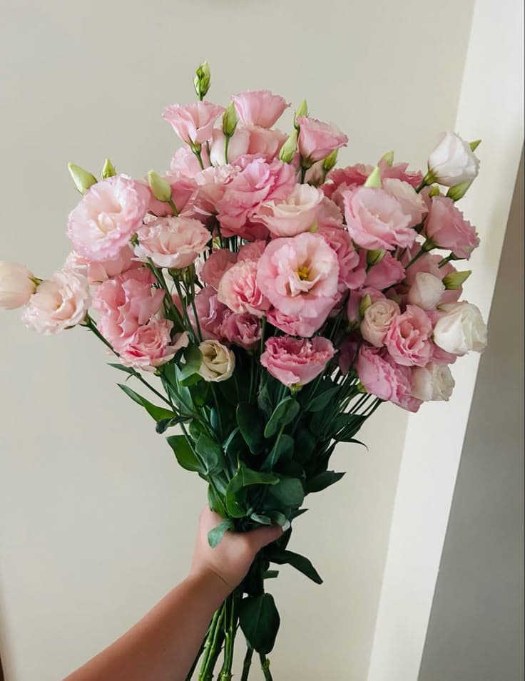 Lisianthus