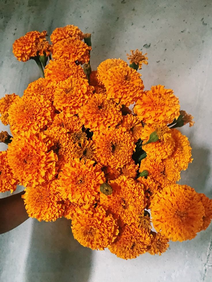 Orange Marigold Loose · per kg